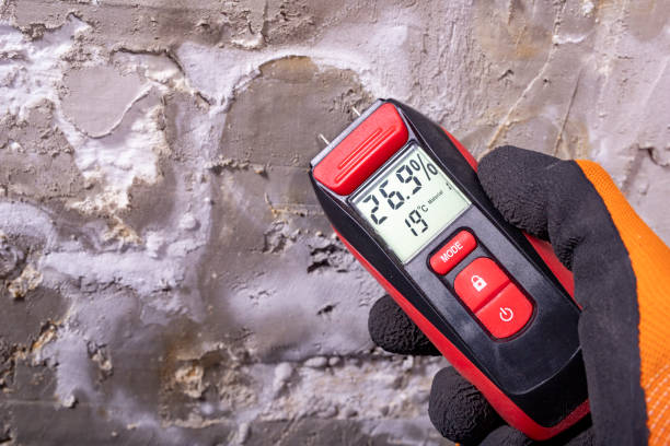 Best Fast Mold Removal  in Kootenai, ID